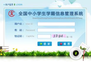 全國中小學生學籍管理系統(tǒng) 信息系統(tǒng)運行維護服務的關鍵角色與實踐路徑